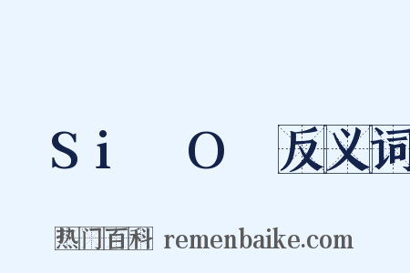 –Si–O–反义词是什么意思的图片